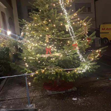 Ochsen Hotel Steinen (Lorrach)